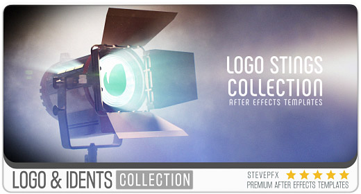 Logo Sting and Idents